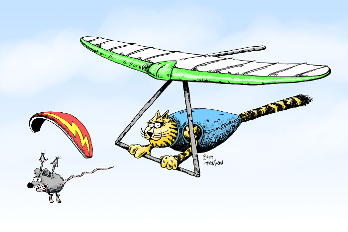 THE DIFFERENCE BETWEEN PARAGLIDING & HANGGLIDING EXPLAINED